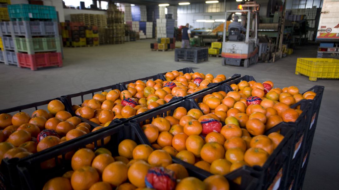 Equilibrar el inventario mediante traspasos de stock